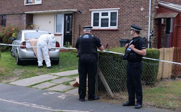 Dog Attack Kills Three-Yr-Old Dexter Neal in Essex