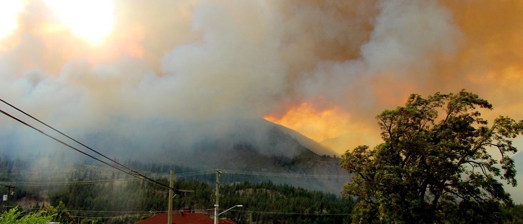 lytton evacuation orders lifted as 50% wildfire contained