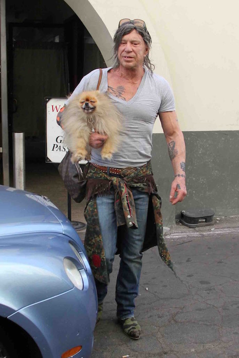 mickey rourke: from sexy leading man to this