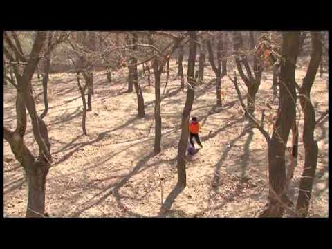 Barefoot Afghani Movie watch online