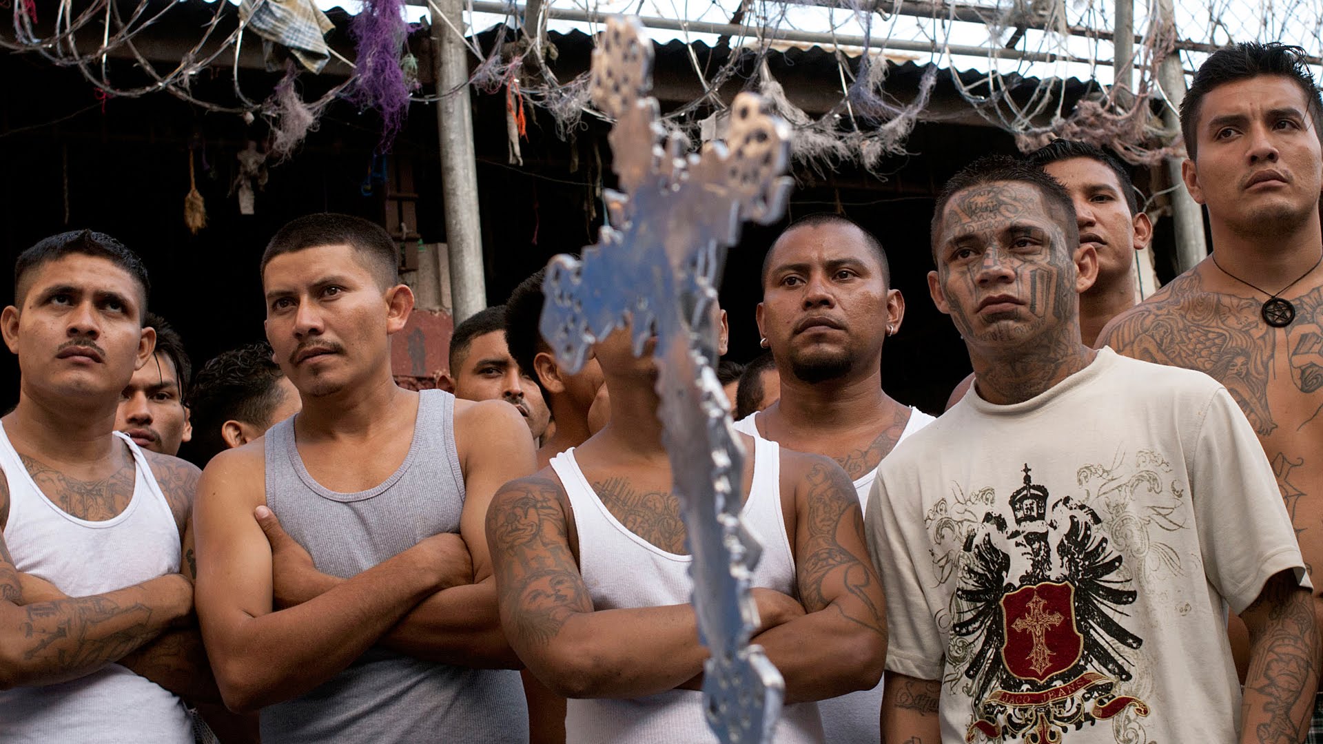 Gangs and Migration: The Long Chain of Cause and Effect
