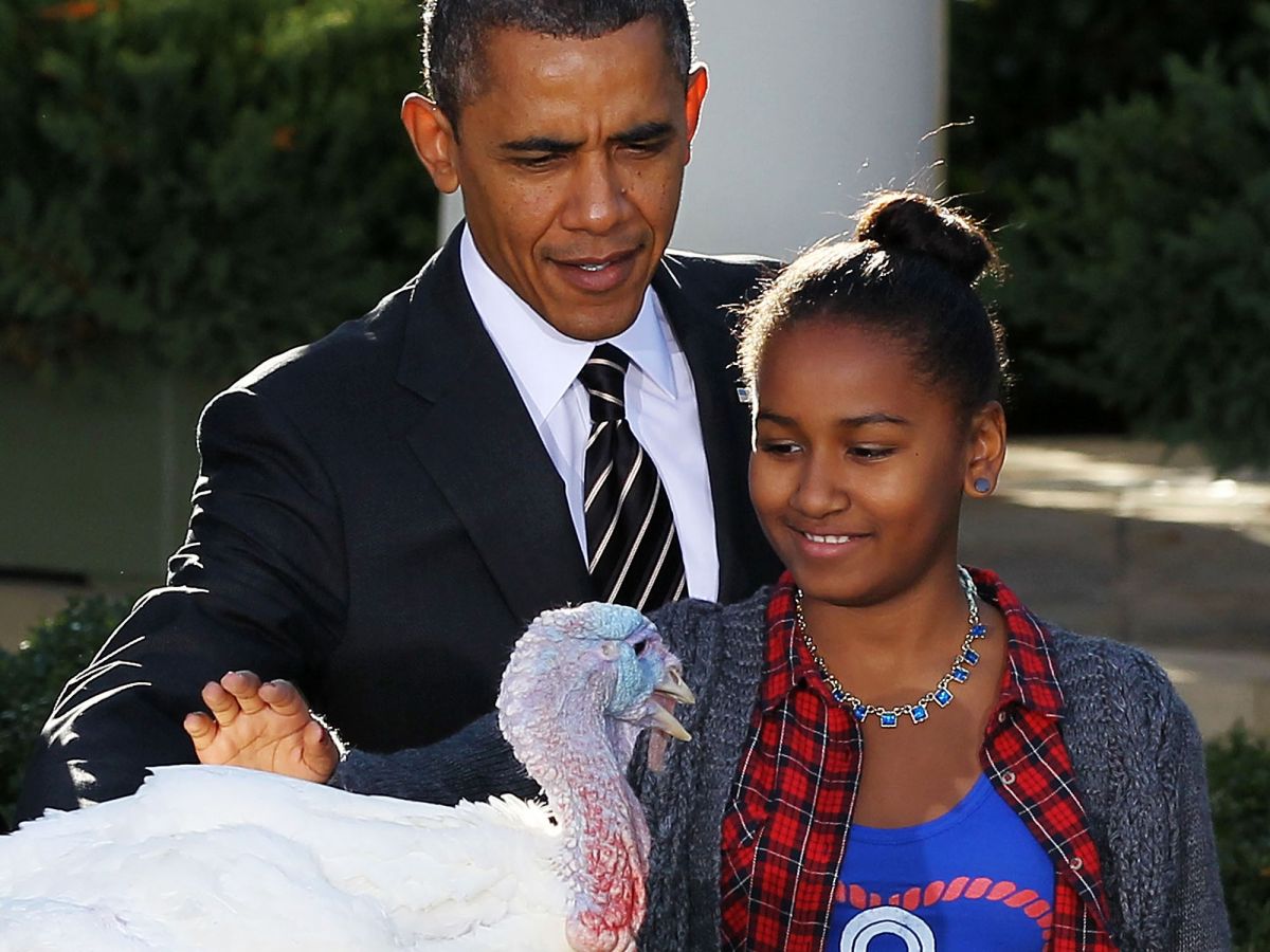 obama pardoning turkeys prove he’s truly america’s dad