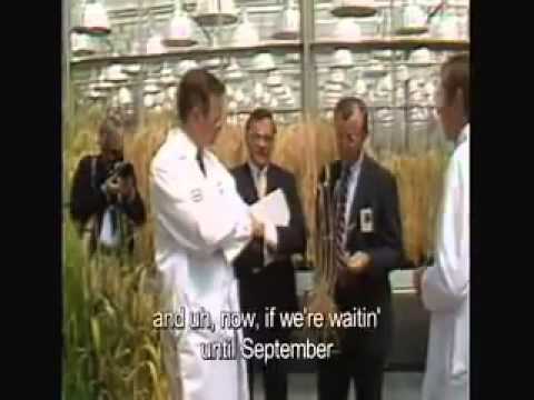 Monsanto’s Past and Our Food Supply