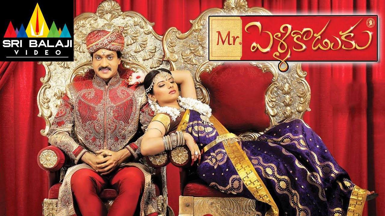 Mr. PelliKoduku Movie watch online