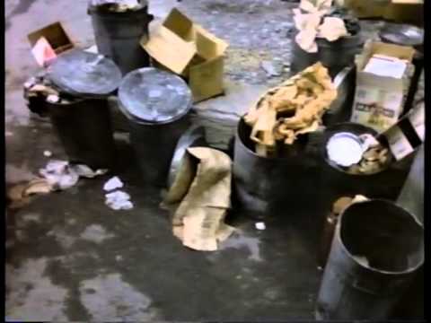 Oh Heavenly Dog Movie watch online