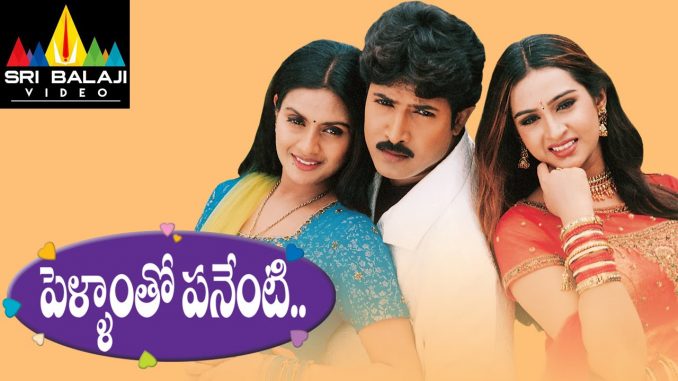 Pellamtho Panenti Movie watch online