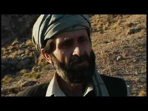 Son Of A Lion Movie watch online