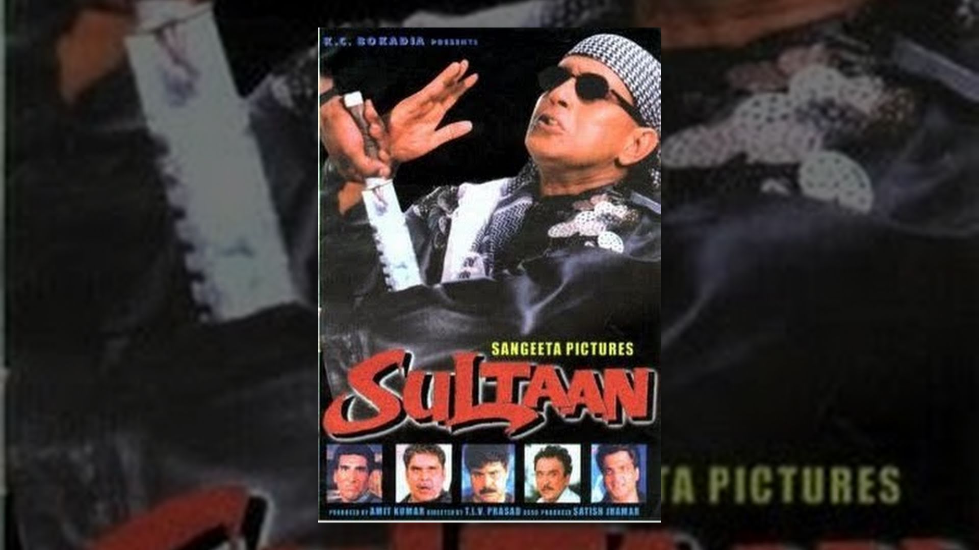 Sultaan Movie watch online