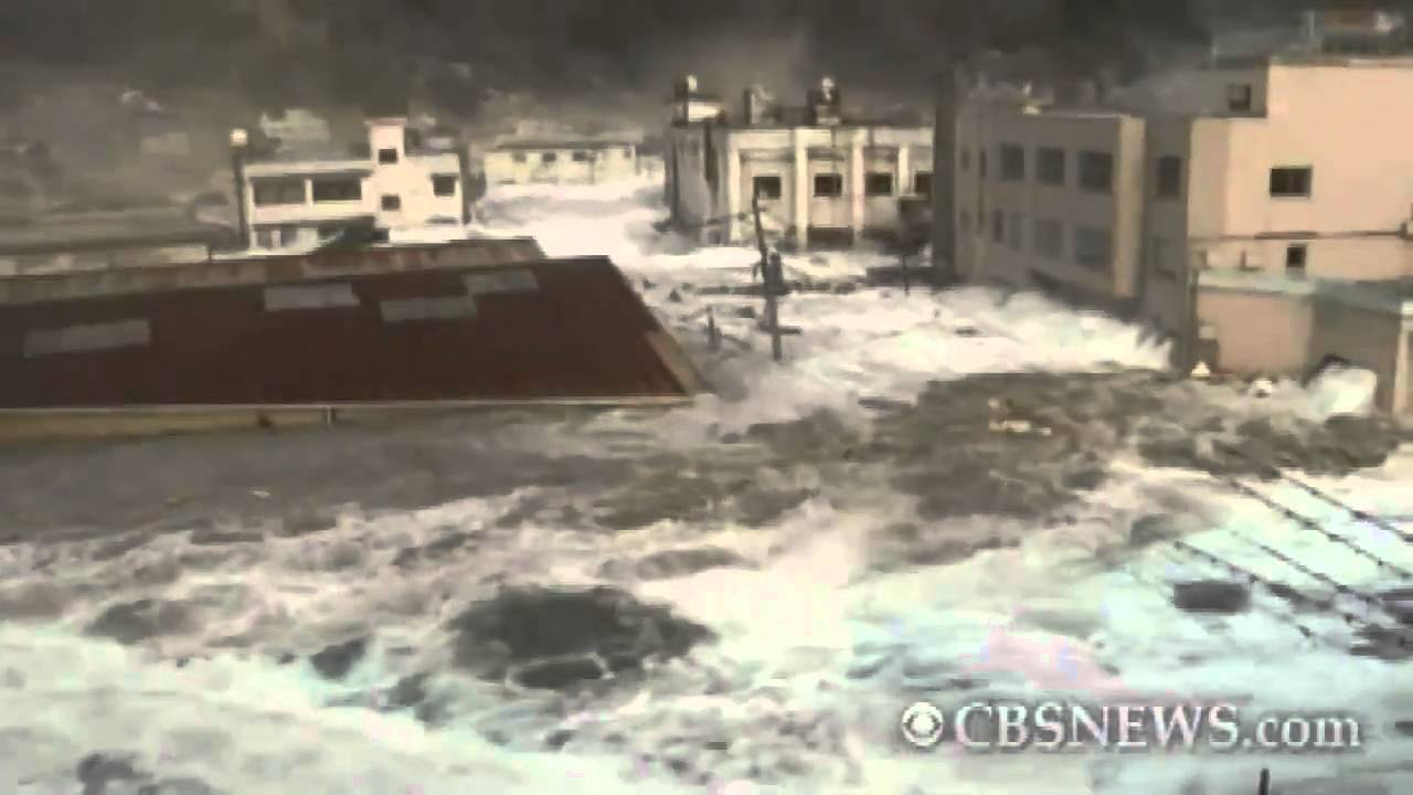 The 2011 Japanese Earthquake and Tsunami