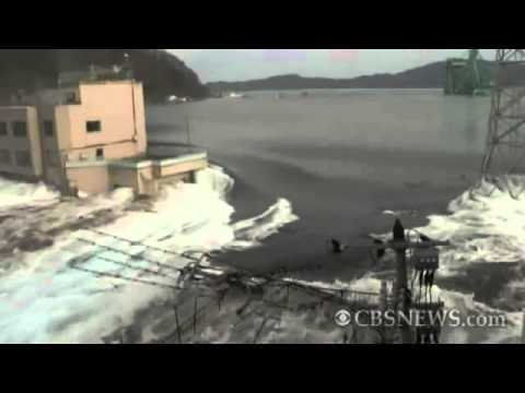 The 2011 Japanese Earthquake and Tsunami: 3 years later