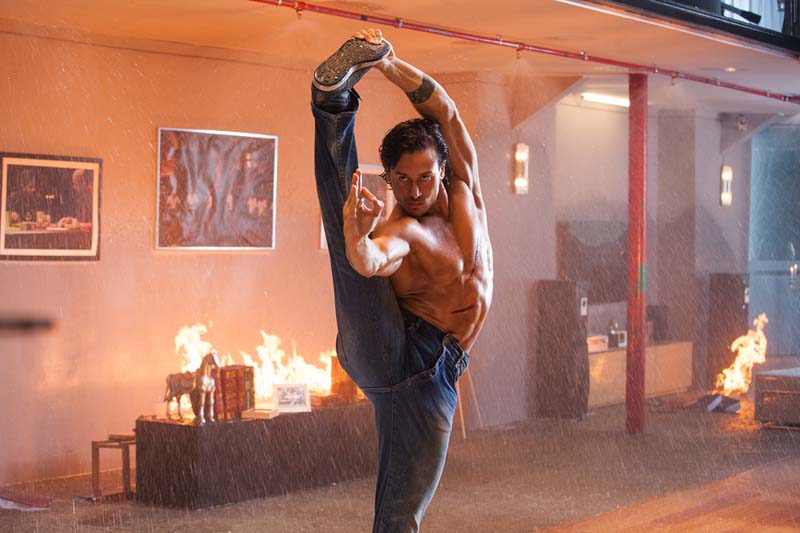 tigershroff