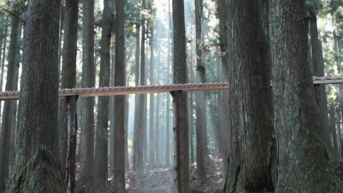 Touch Wood