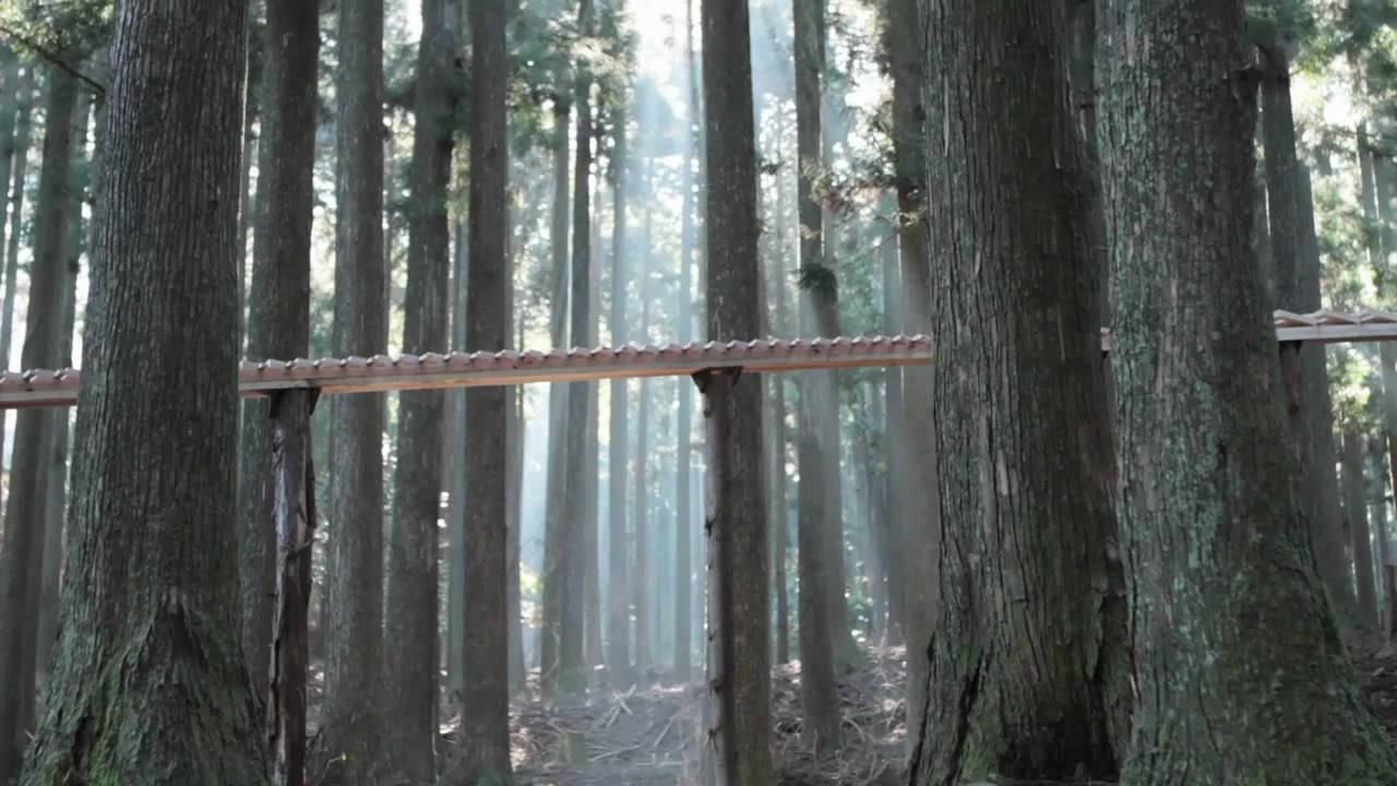 Touch Wood
