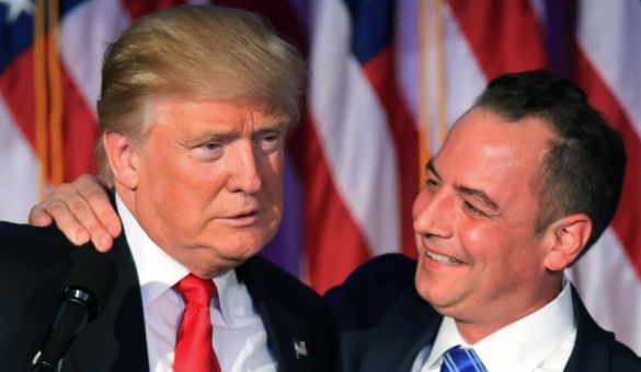 trumpteam