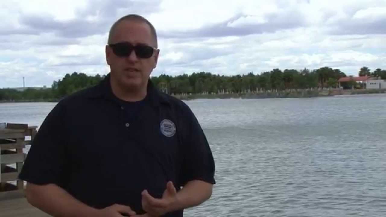 Unsecured Border: Interview with a National Border Patrol Council Representative