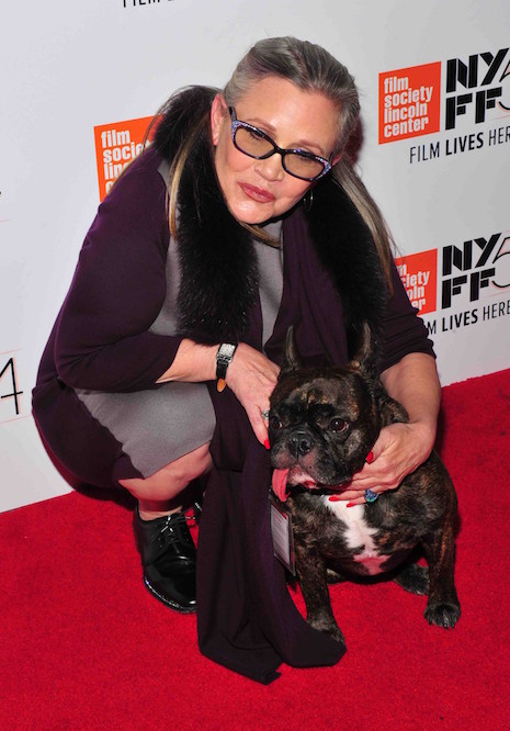 carrie fisher saw the humor in everything that happened to her