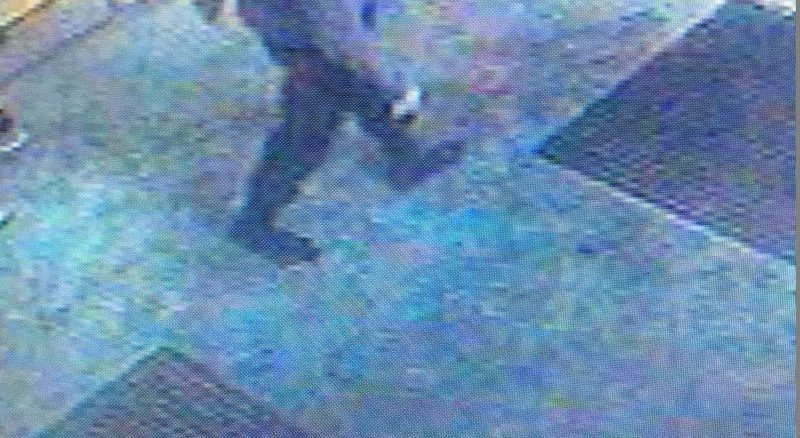 police search for missing toronto woman sofia lefas