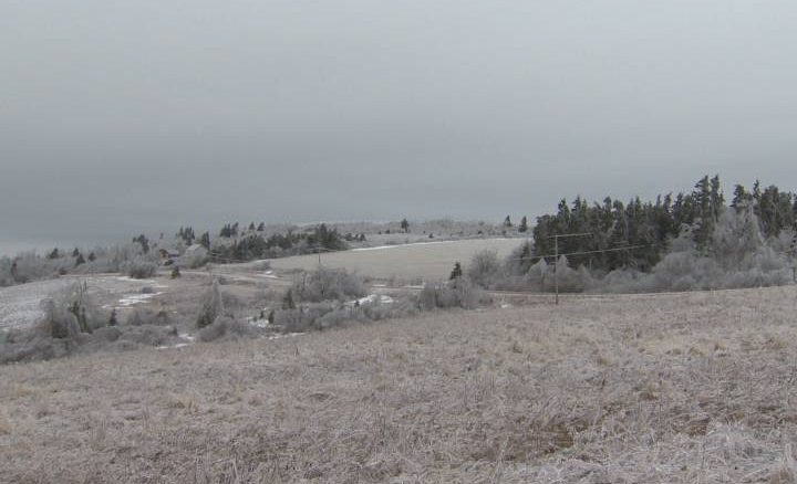officials urge safety as nb residents face power outage due to ice storm