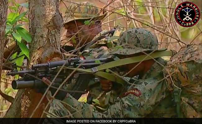 trainee-cobra-commandos_650x400_61486381395