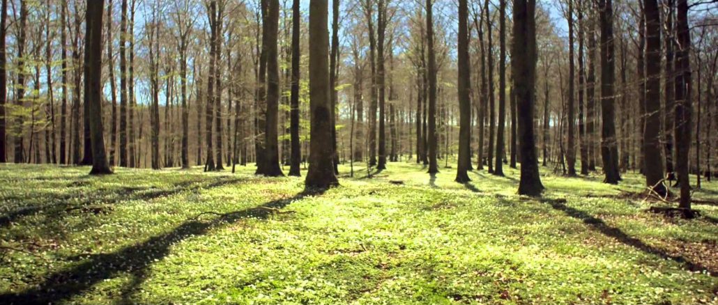 13 things to do on your phone when you’re feeling anxious in public