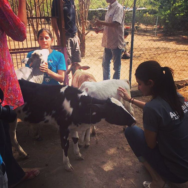 Anushka Sharma spends time with the ones she love - animals and she is loving it!