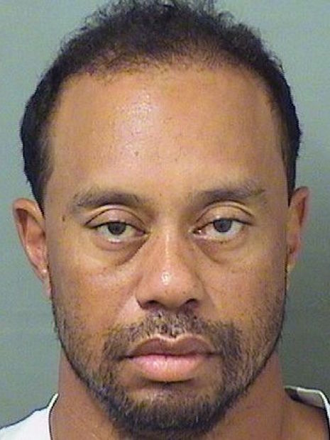 tiger woods: every picture tells a story