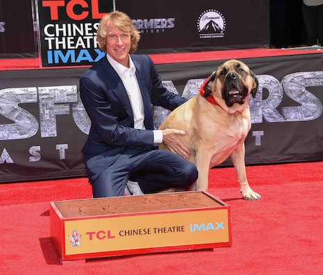 michael bay brought his dog to his walk