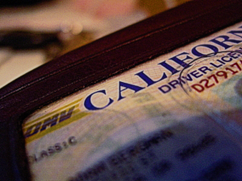 driver’s licenses make it easy for law enforcement to identify illegal aliens