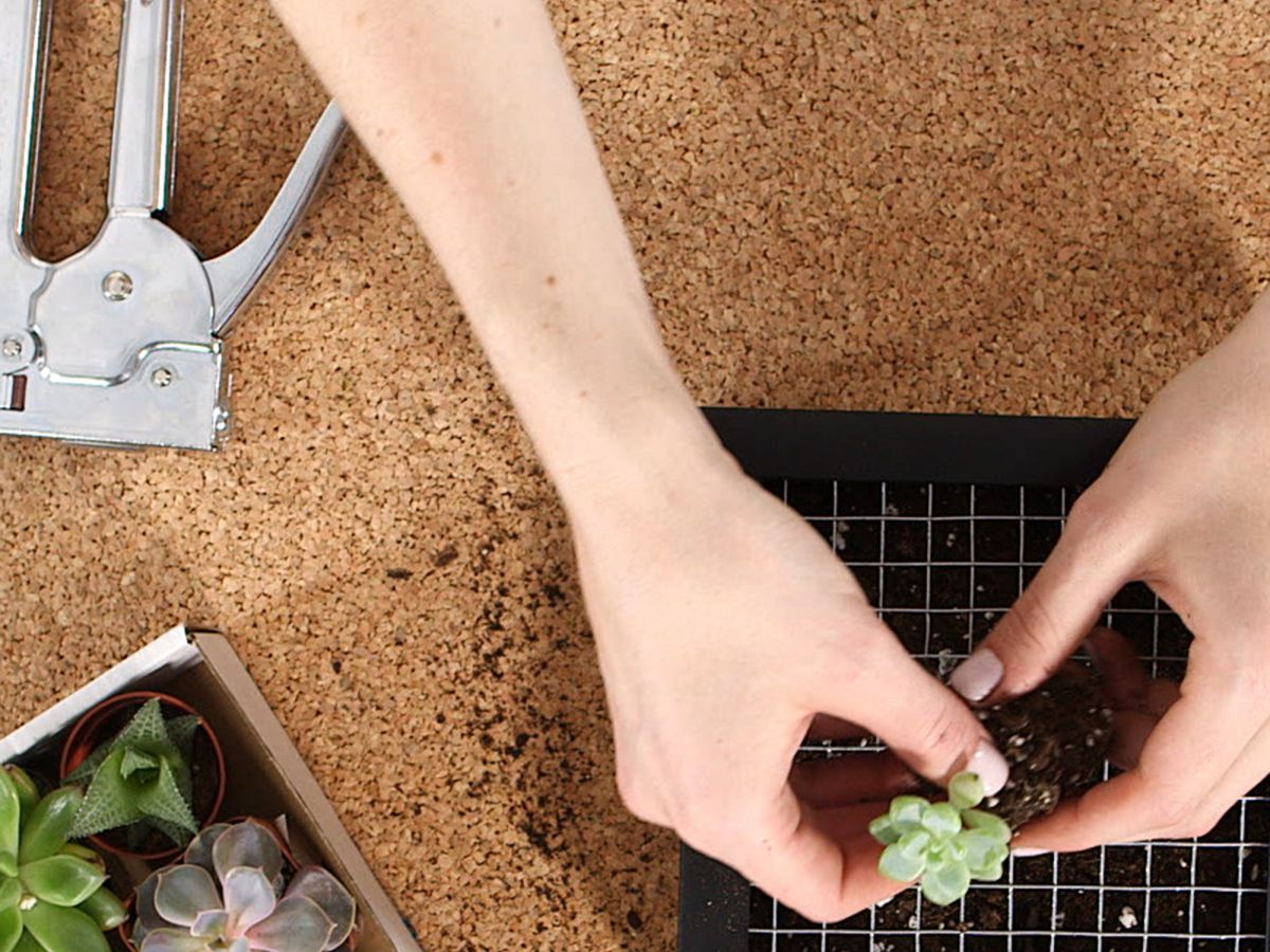 these diy plant hacks will bring so much life to your space
