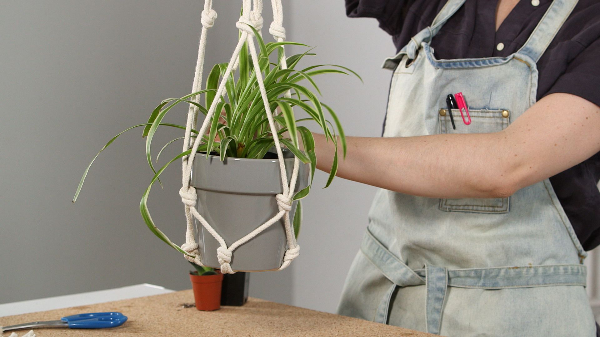 these diy plant hacks will bring so much life to your space