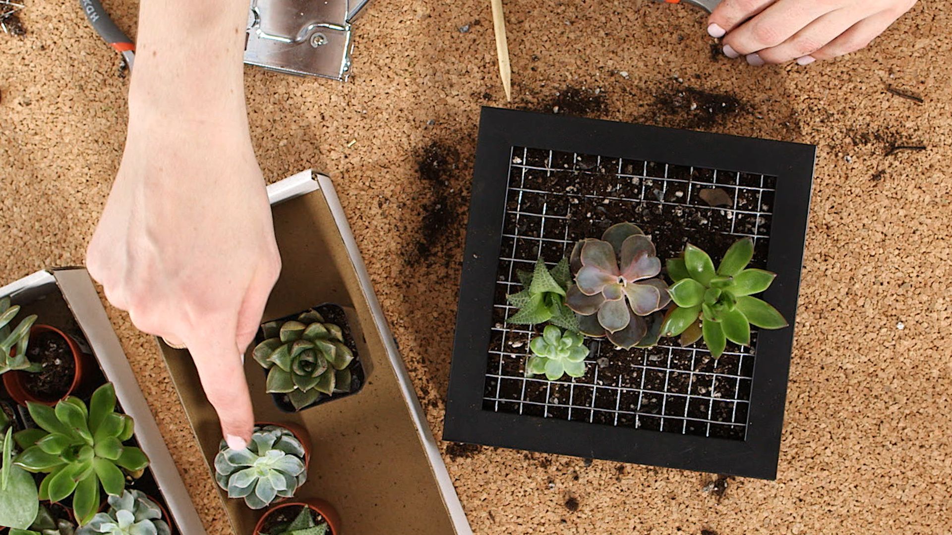 these diy plant hacks will bring so much life to your space