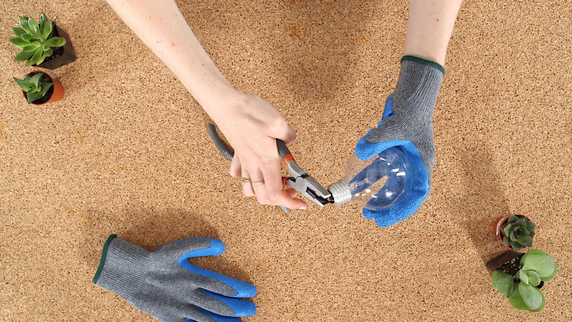 these diy plant hacks will bring so much life to your space