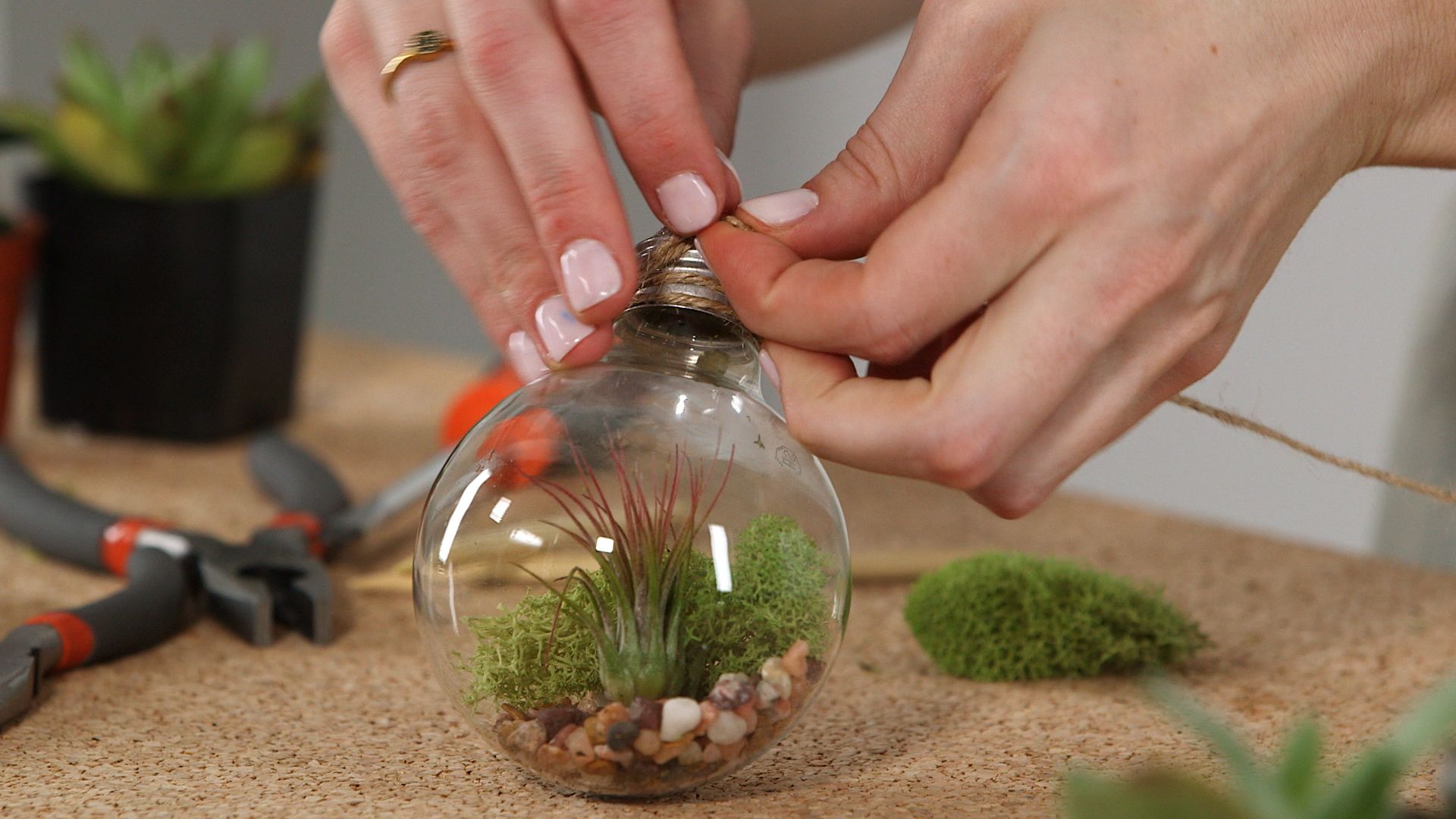 these diy plant hacks will bring so much life to your space