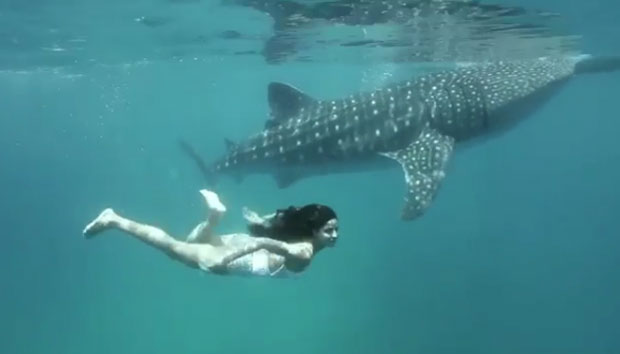 Katrina Kaif goes underwater to celebrate World Oceans Day!