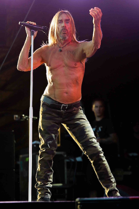 iggy pop still has a lust for life