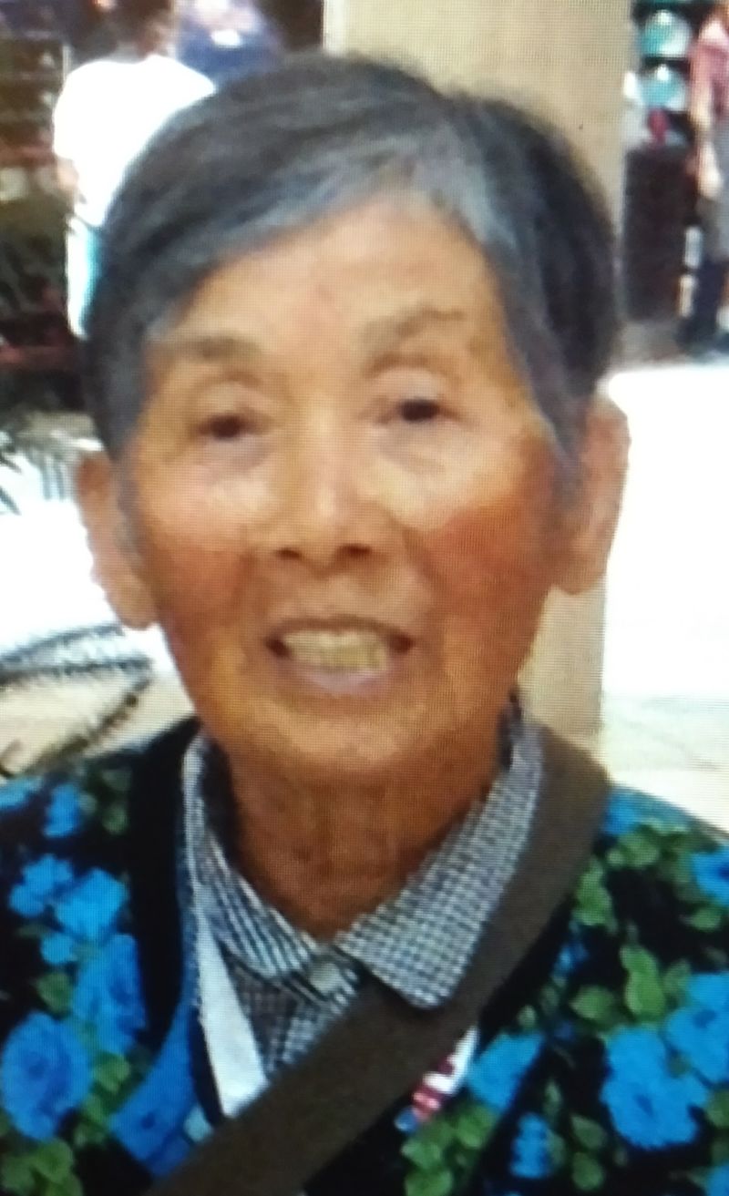 police search for missing toronto woman jumei zhou