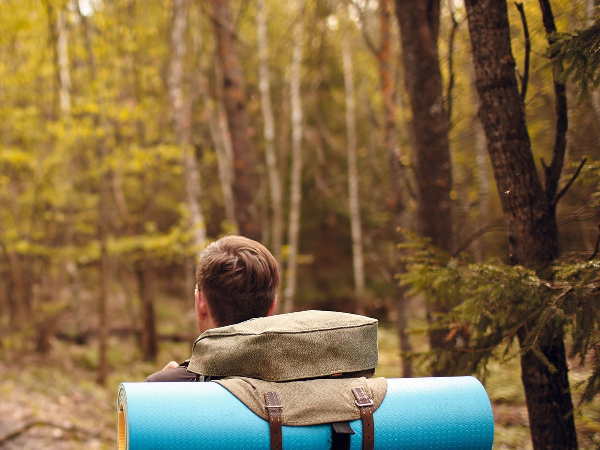 this man traveled to 47 different countries without flying