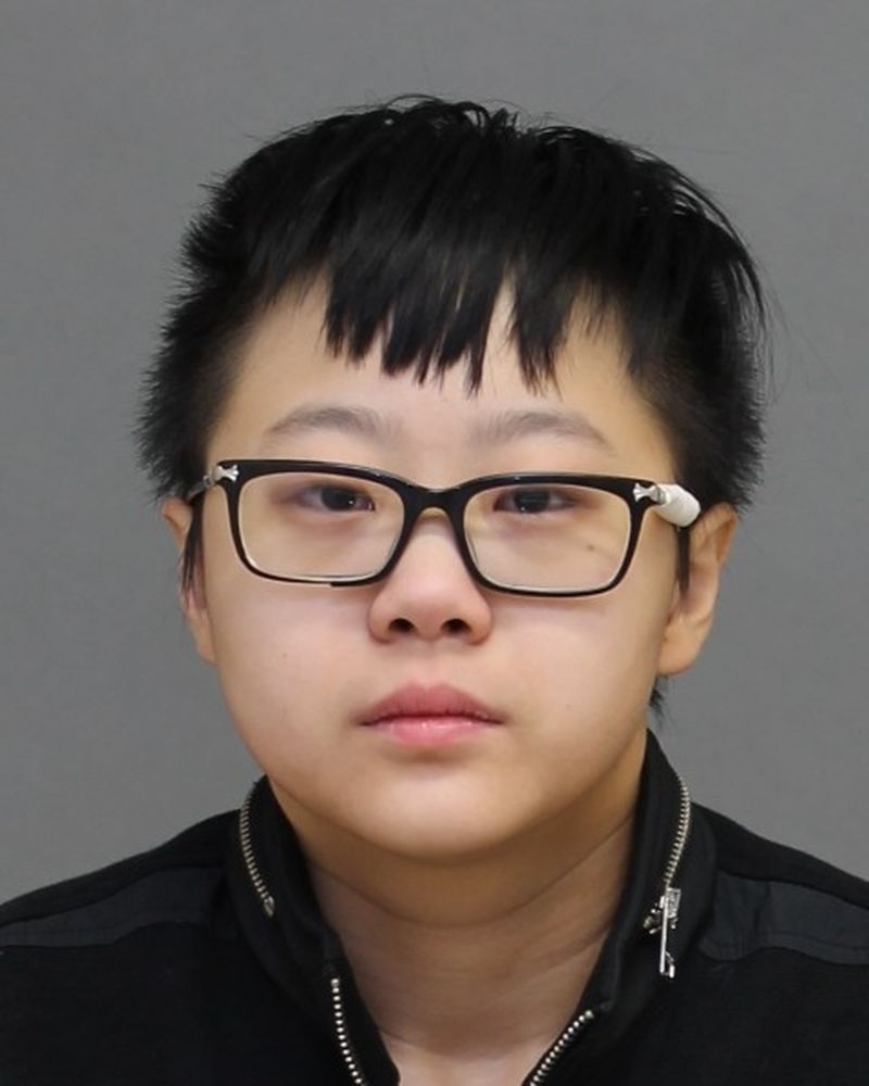police search for missing toronto woman hua guo