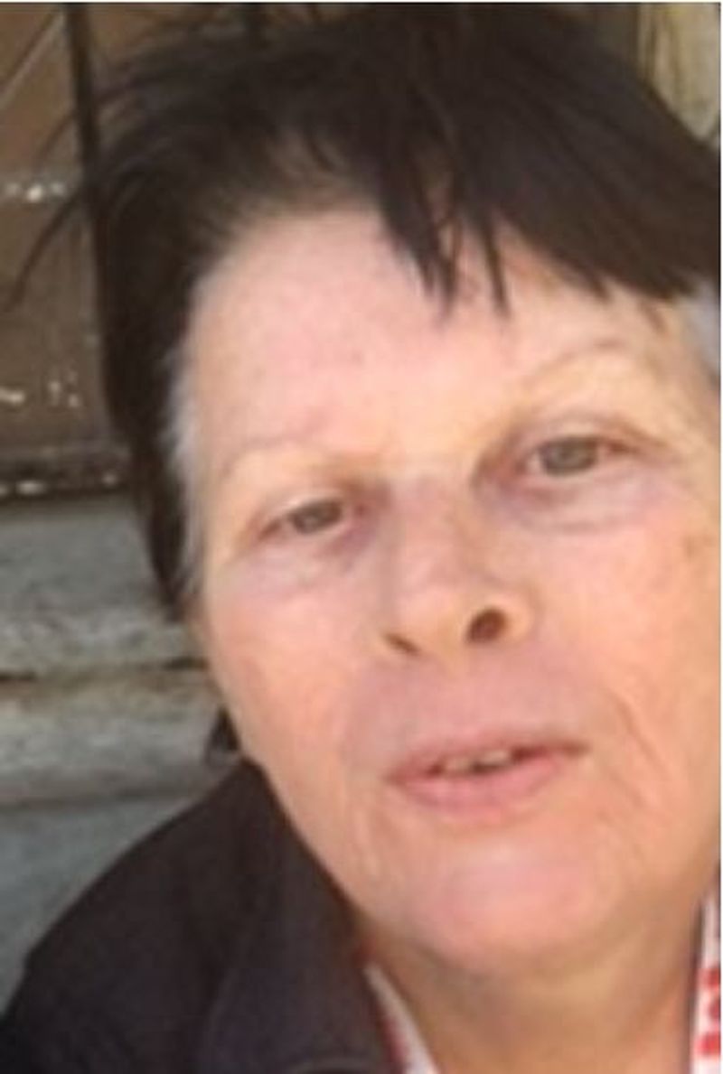 police search for missing toronto woman cheryl casselman