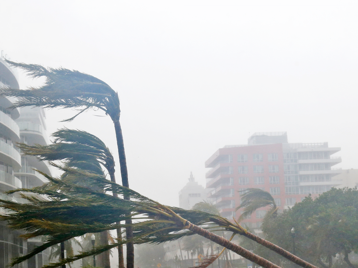 historic hurricane irma makes itself felt across florida in these photos & videos