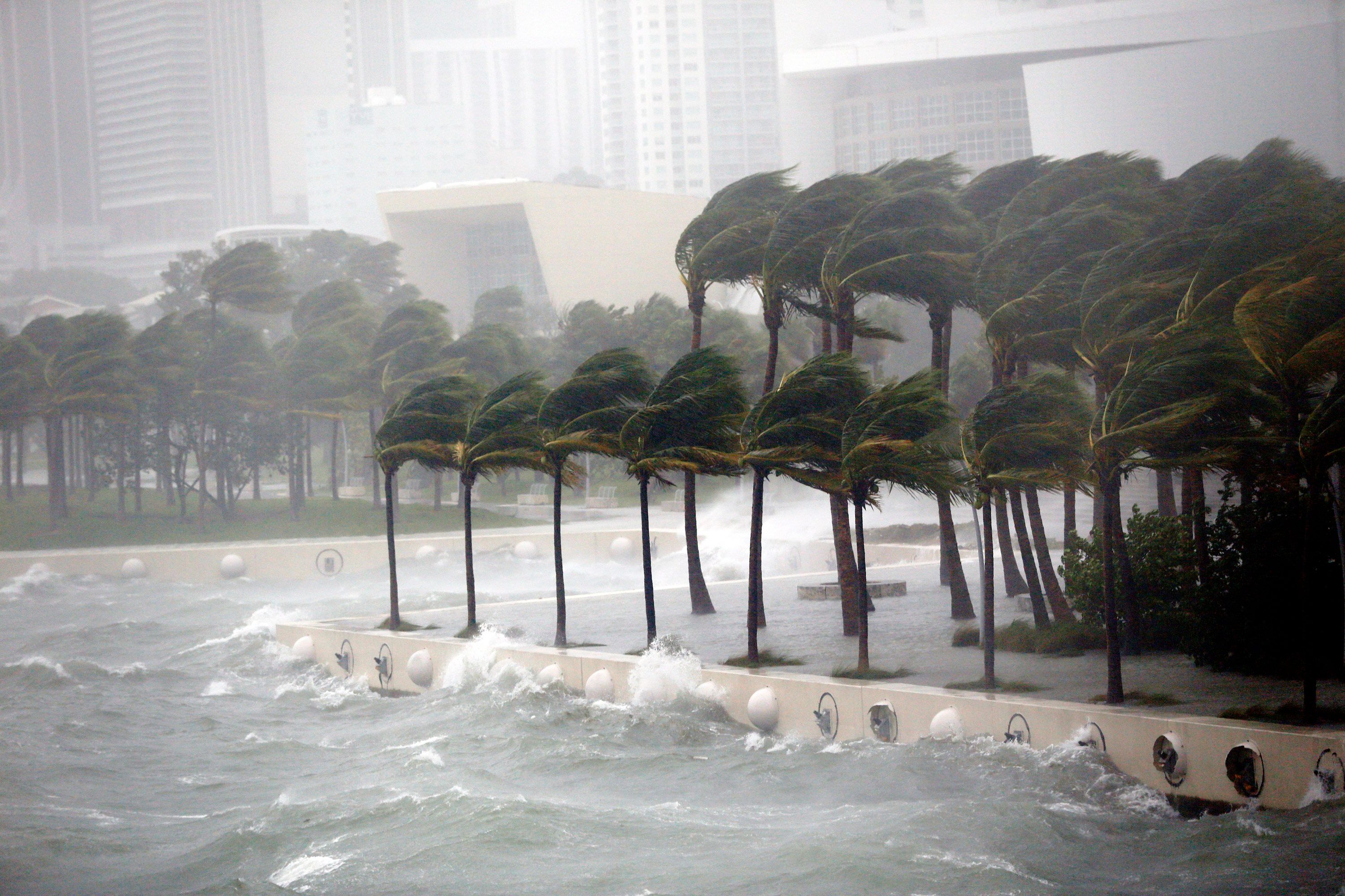 historic hurricane irma makes itself felt across florida in these photos & videos