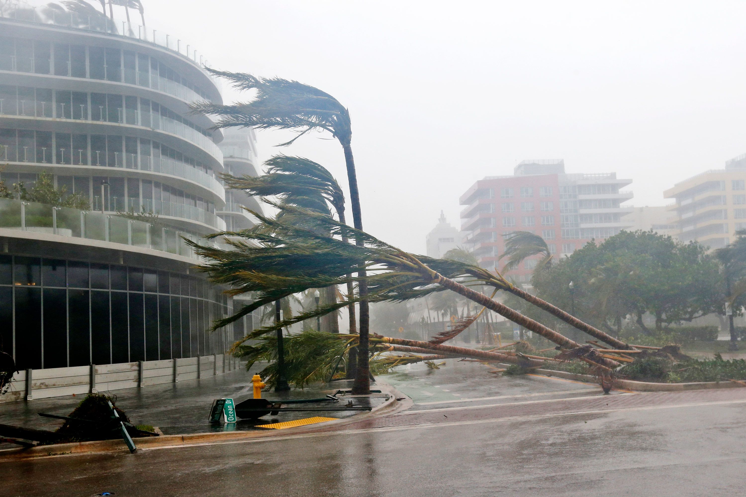 historic hurricane irma makes itself felt across florida in these photos & videos