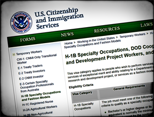 government allowed a pizza cook to enter the u.s. on an h-1b visa