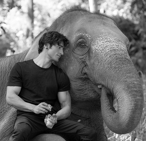 Vidyut Jammwal becomes an elephant whisperer for Junglee