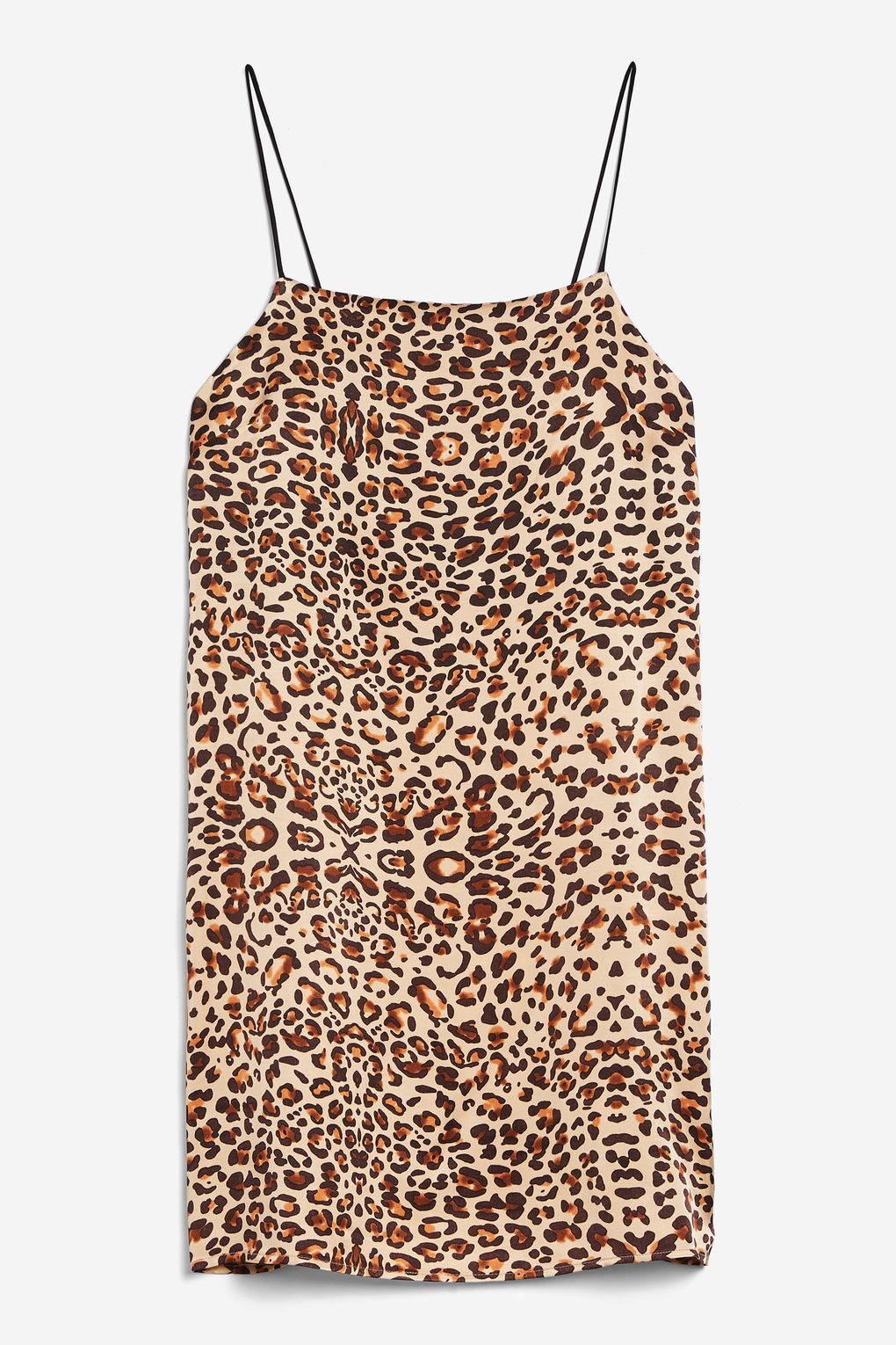 fashion’s latest “it” print goes wild