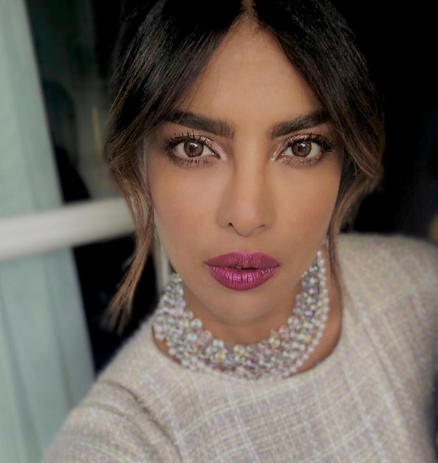 Priyanka Chopra flaunts metallic eyes and mauve pink lips for the Chanel dinner