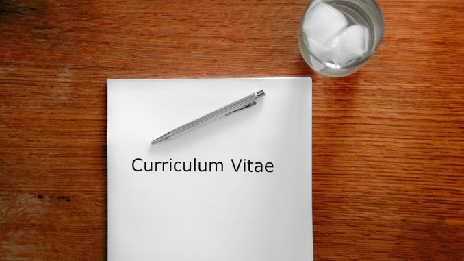 Job Interview Interview Curriculum Vitae Application