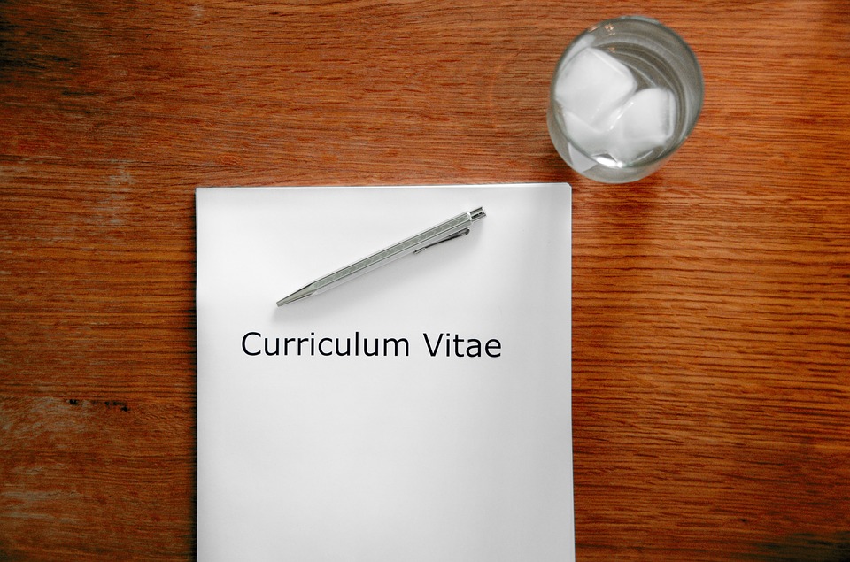 Job Interview Interview Curriculum Vitae Application