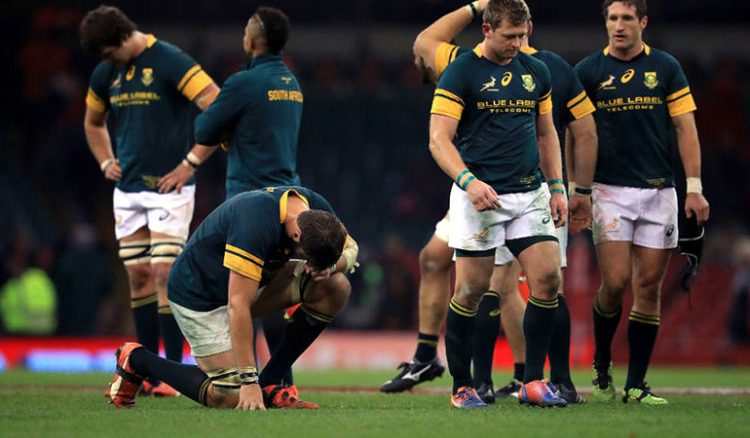 the decline and fall of south african rugby