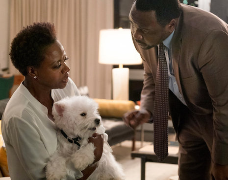 widows: the most decent character is a dog